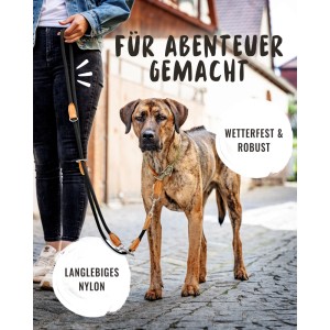 Verstellbare, schwarze Rudelkönig Hundeleine Emma aus Kletterseil mit Lederdetails und Hund.