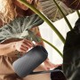 Frau gießt Pflanze mit anthrazitfarbener Elho Gießkanne Vibes Fold 1,7 l.
