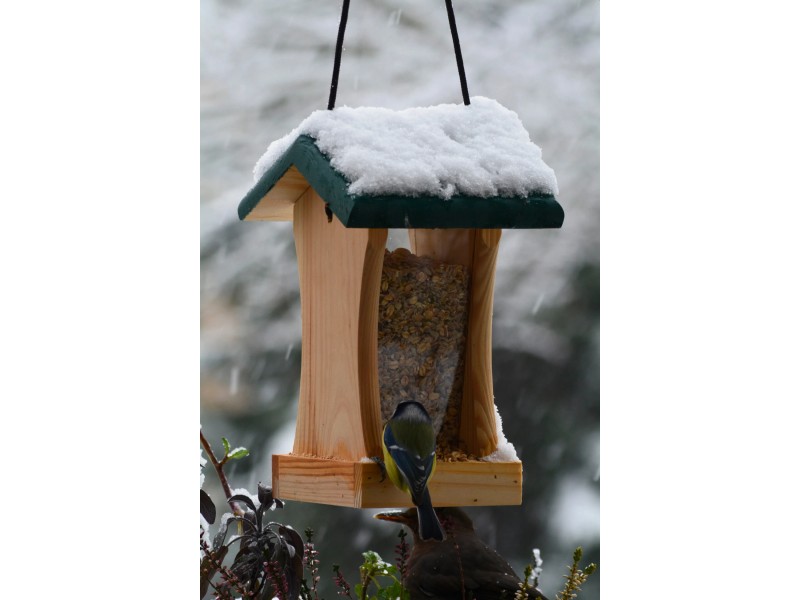 Nature Gear Fenster Vogelfutterhaus – Durchsichtig, Mit Saugnäpfen, Wetterfest, Einfach Zu Reinigen