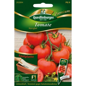 Saatplatte Quedlinburger Stab-Tomaten Harzglut mit roten Tomaten und Infos zur Aussaat.