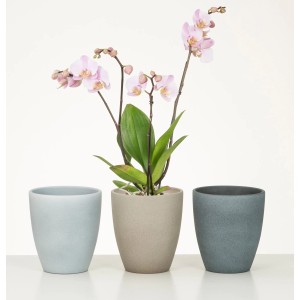 Scheurich Pflanzgefäße 620 in drei Farben (Hellblau, Beige, Dunkelgrau) mit Orchidee.