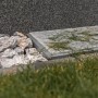 Schellenberg Lichtschachtabdeckung aus Edelstahl, 50x125 cm, schützt vor Laub und Insekten.