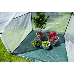 Westmann Überwinterungszelt Peperoni mit Pflanzen in Töpfen. Foliengewächshaus für Garten.