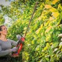 Frau schneidet Hecke mit roter Einhell Akku-Heckenschere GP-CH 18/61 Li BL-Solo.