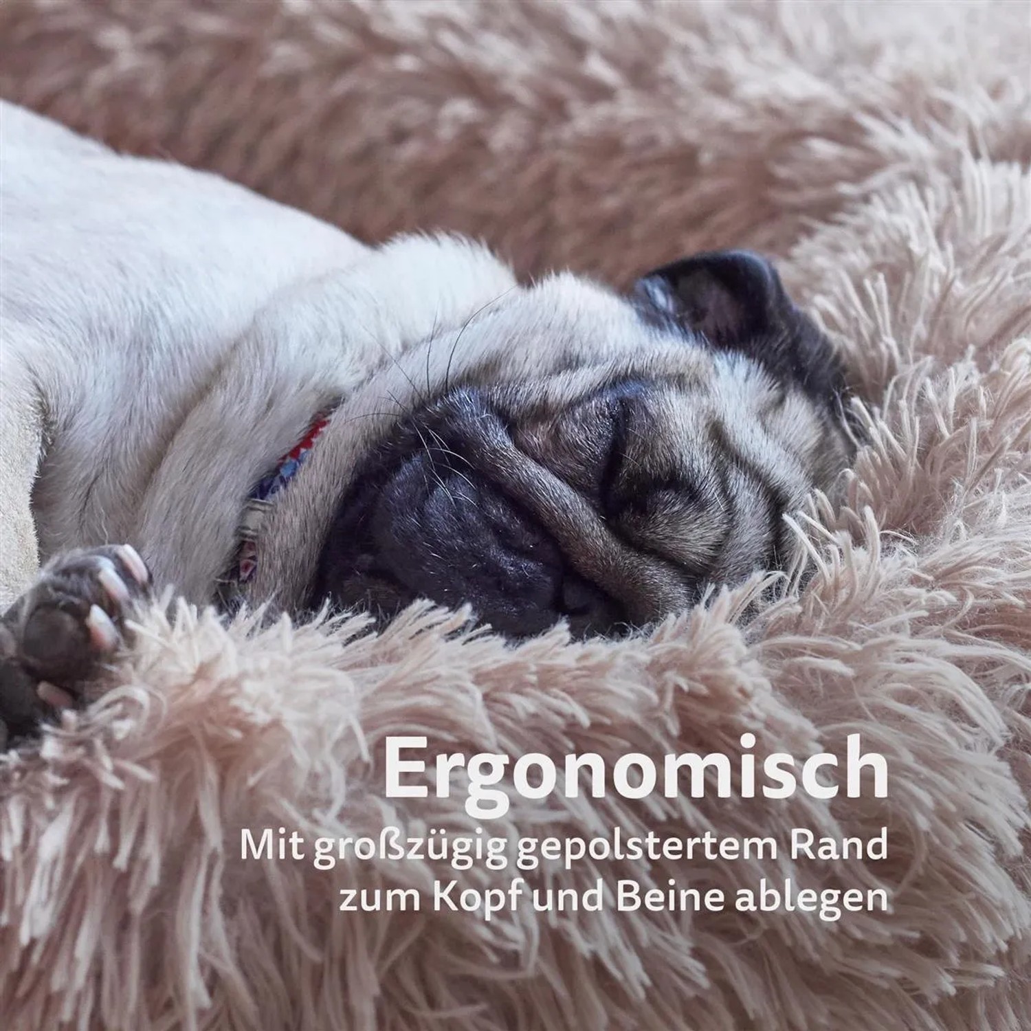 Schlafender Mops im beigen Bestlivings Fluffy Haustierbett/Hundekissen.