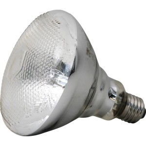 JBL UV-Spot plus 80W Terrarium-Beleuchtung für Reptilien, Nahansicht.