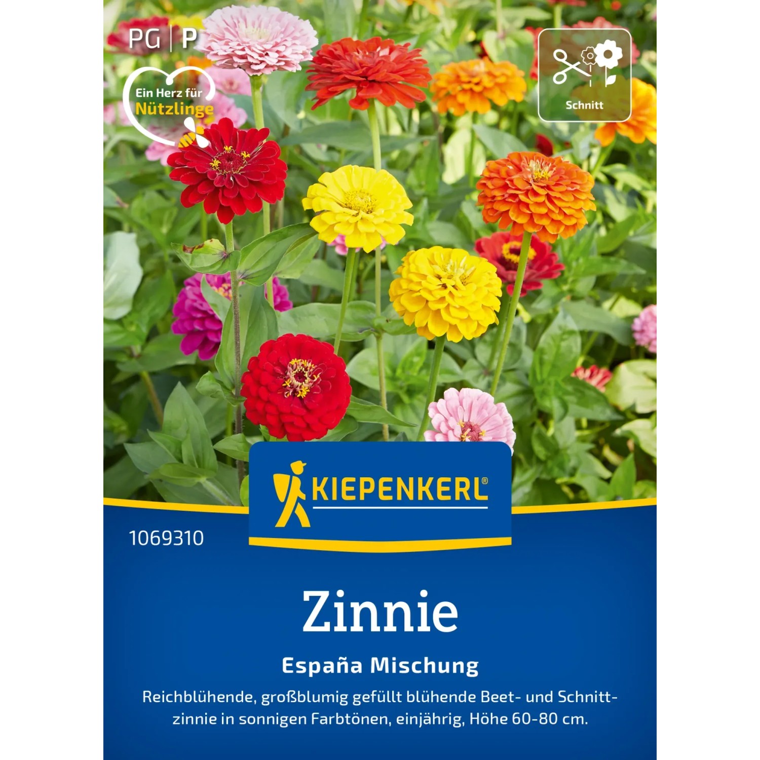 Zinnien Espana Mix