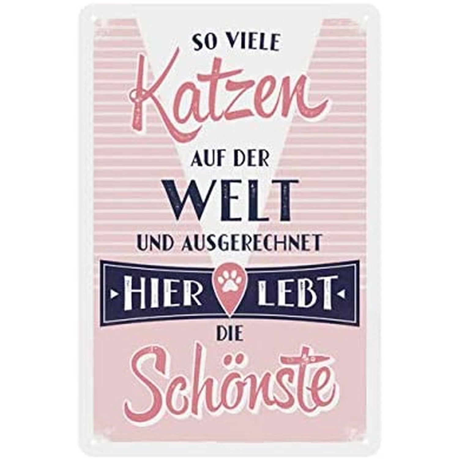 Nostalgic-Art Blechschild 20 x 30cm - Animal Club - So viele Katzen auf der günstig online kaufen