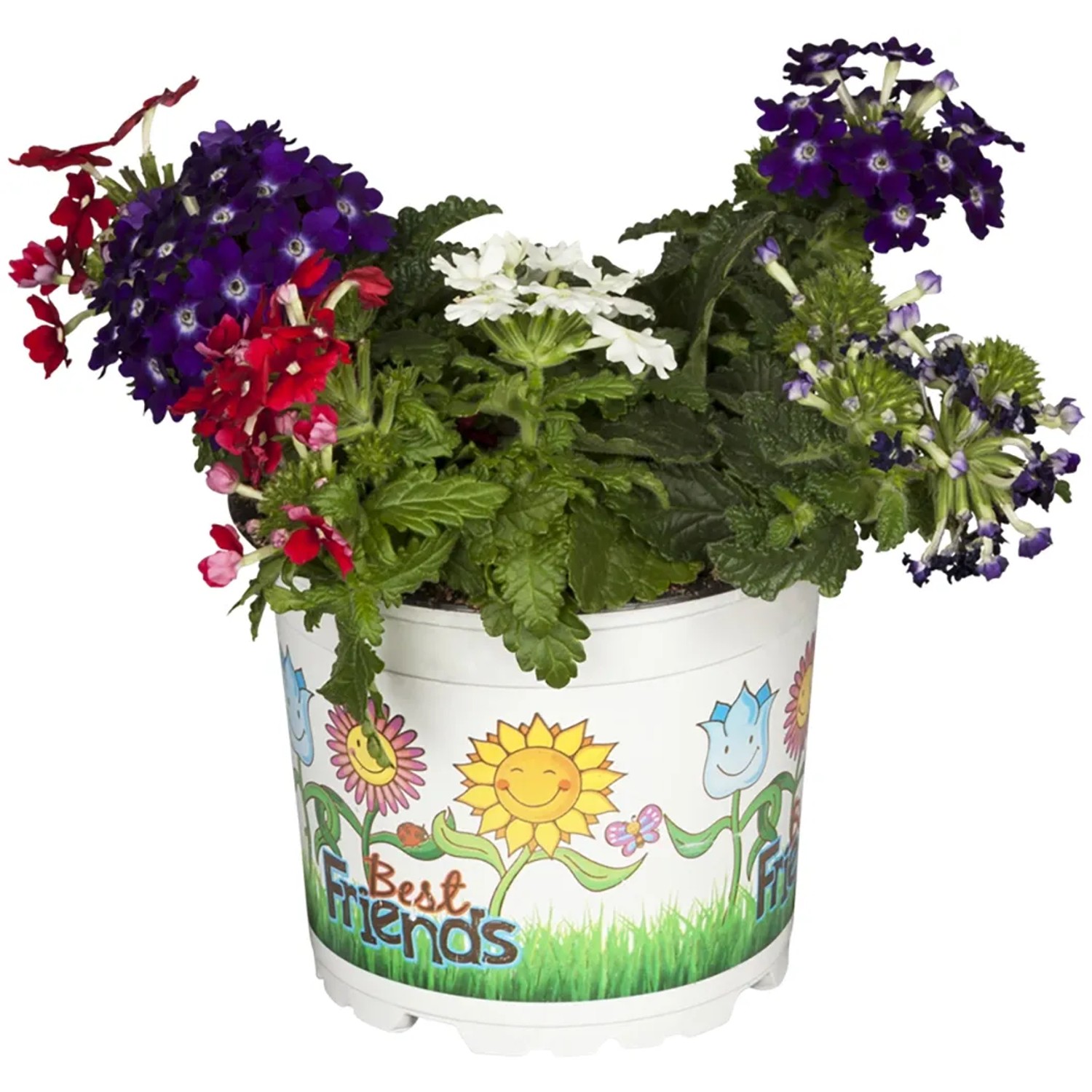 Hängendes Eisenkraut Trio Topf-Ø ca. 13 cm Verbena