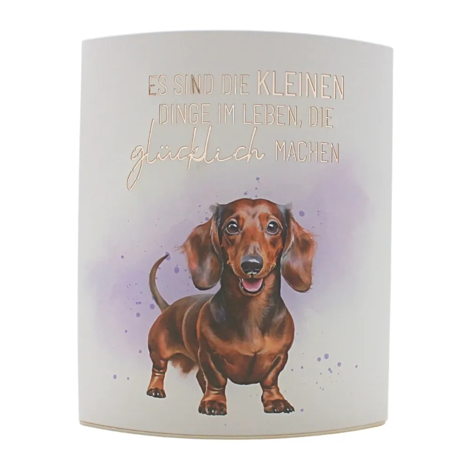 Dekohelden24 Dekolicht mit Timer 6/18 h Batteriebetrieben2xAA L/B/H 13 x 5 x 16 cm