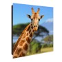 Schwarzer Schlüsselkasten mit Glasfront, Motiv Giraffe vor Kilimandscharo, 50 Haken, beschreibbar, magnetisch.