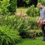 Mann nutzt Einhell Akku-Rasentrimmer GE-CT 18/30 Li-Solo im Garten.