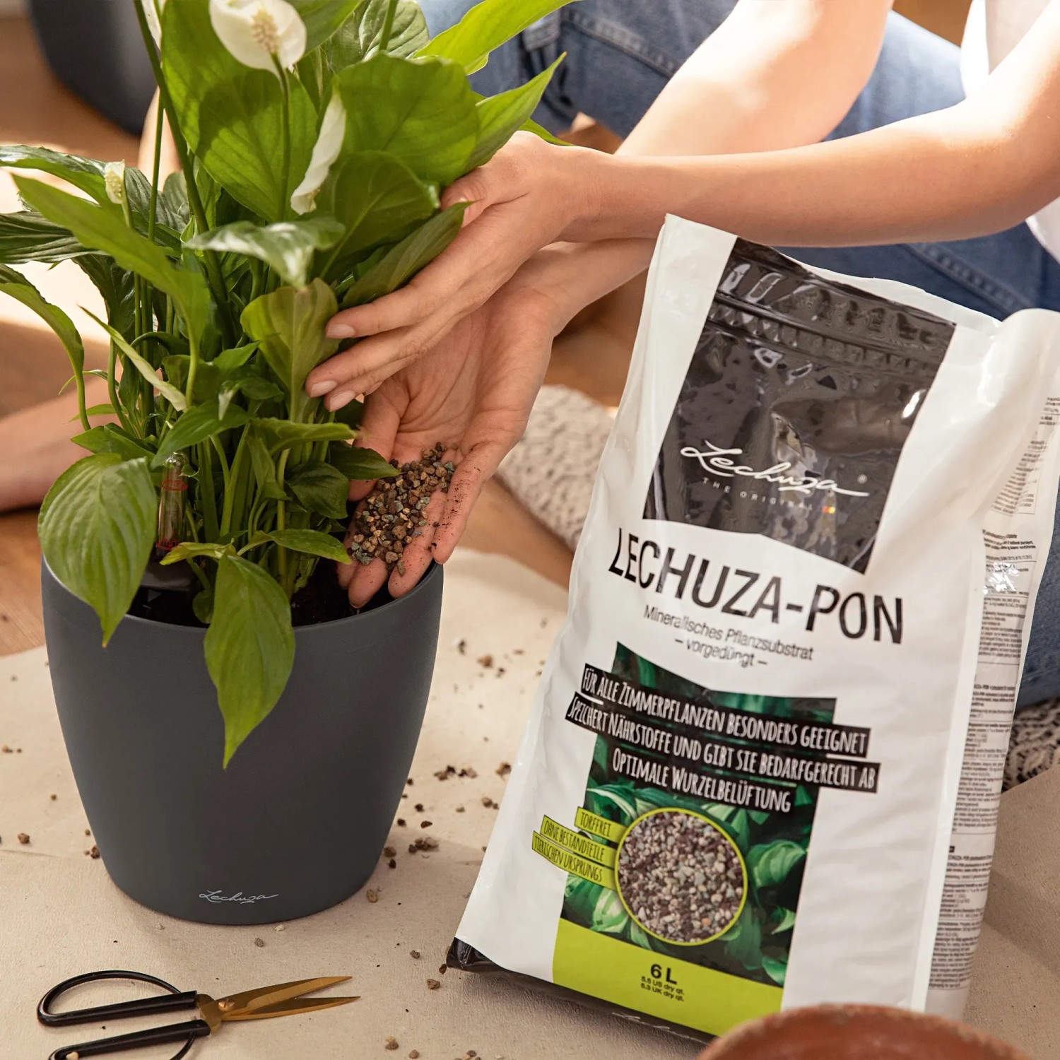 Frau befüllt Topf mit Lechuza-Pon Pflanzsubstrat (6L) für Zimmerpflanzen.