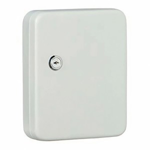 Burg Wächter Schlüsselkasten Favor KC 20, hellgrau, mit Schloss und 20 Haken.