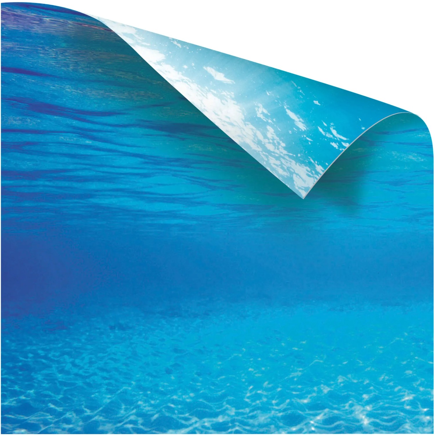 Juwel Poster 2: Aquarium Rückwand mit Unterwasser-Motiv, 100x50cm, doppelseitig.