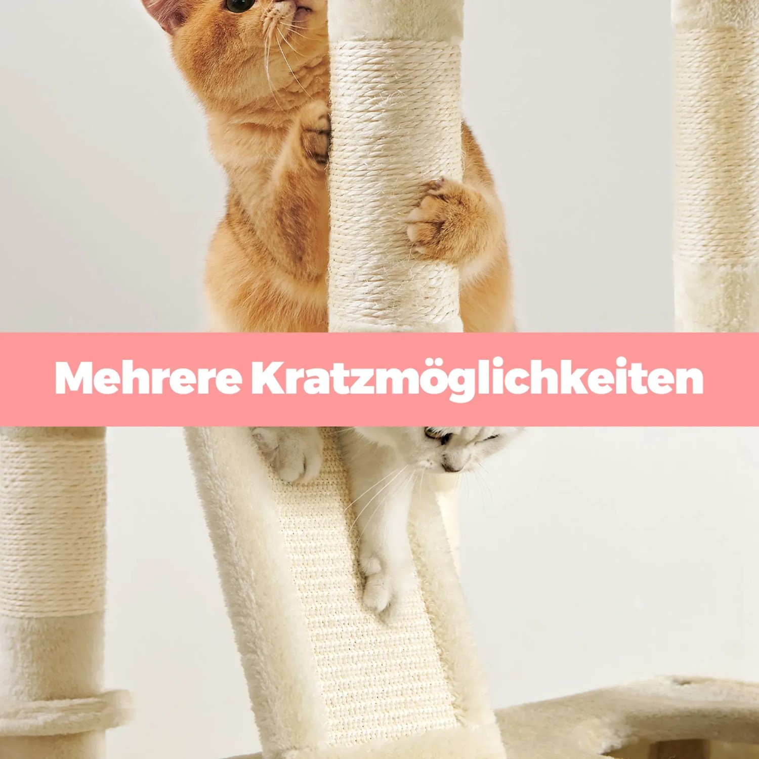 Beiger Feandrea Kratzbaum (206 cm) mit zwei Katzen beim Klettern und Kratzen.