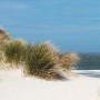 Sanowall Duschrückwand Nordsee mit Dünenlandschaft und Meer.