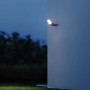Angeschalteter Steinel Sensor-LED-Strahler XLED One S Anthrazit an Hauswand.