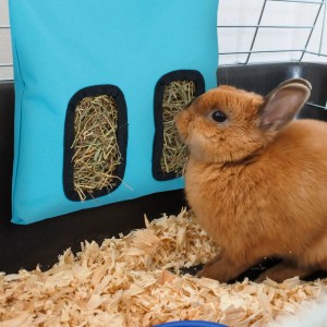 Blaue Relaxdays Heutasche aus Baumwolle/Polyester für Kleintiere, gefüllt mit Heu, mit zwei ovalen Öffnungen. Ein Kaninchen frisst daraus im Käfig.