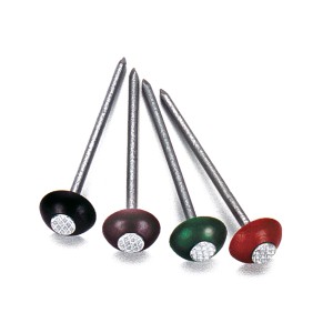 Super-Nägel Rot, 50 Stück, für Bitumenbedachung. Verzinkte Nägel mit farbigen Köpfen und Dichtscheiben.