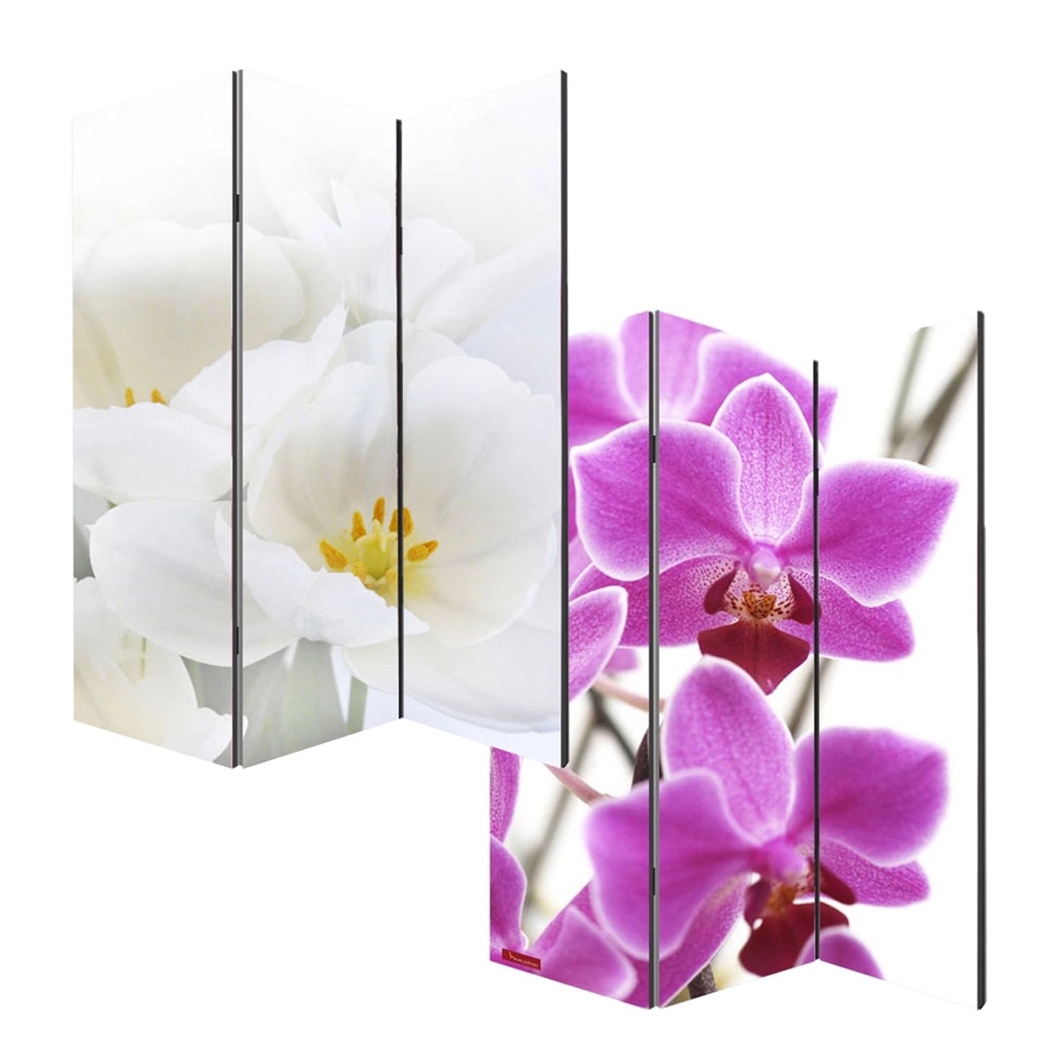 MCW Foto-Paravent Bagheria 180x120cm Orchidee günstig online kaufen
