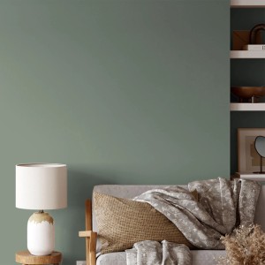 Wand in silbrigem Eukalyptusgrün mit V&CO Premium-Innenfarbe Dead Flat Matt. Wohnszene mit Lampe und Sofa.