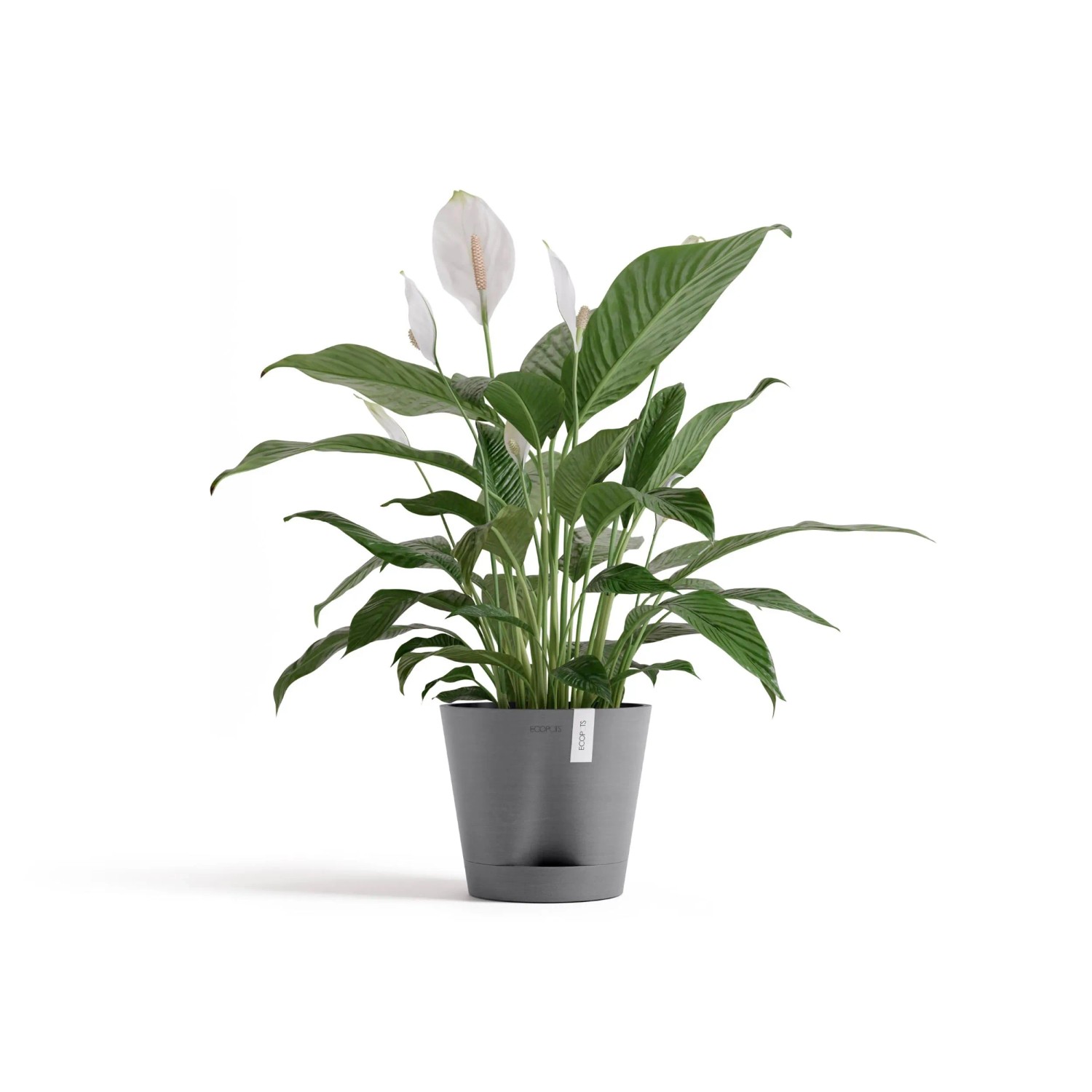 Ecopots Pflanztopf Venice 2 Grau 20 cm x 17,5 cm_2