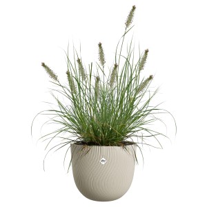 Beiger Elho Blumentopf Sereh (Ø 25 cm) mit Ziergras, ideal für Innen- und Außenbereich.