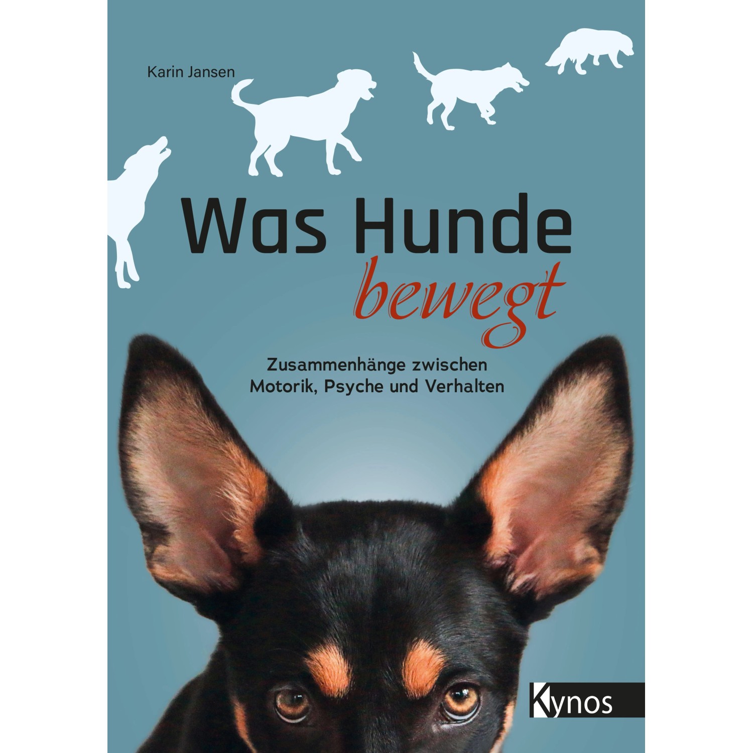 Was Hunde bewegt
