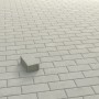 Graues Rechteck-Pflaster aus Beton (20x10x6 cm) verlegt als Gehweg.