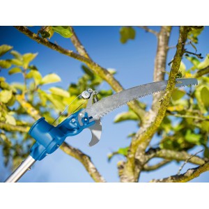 LUX-TOOLS Baumschere und Säge 2-in-1 teleskopierbar beim Schneiden eines Astes.