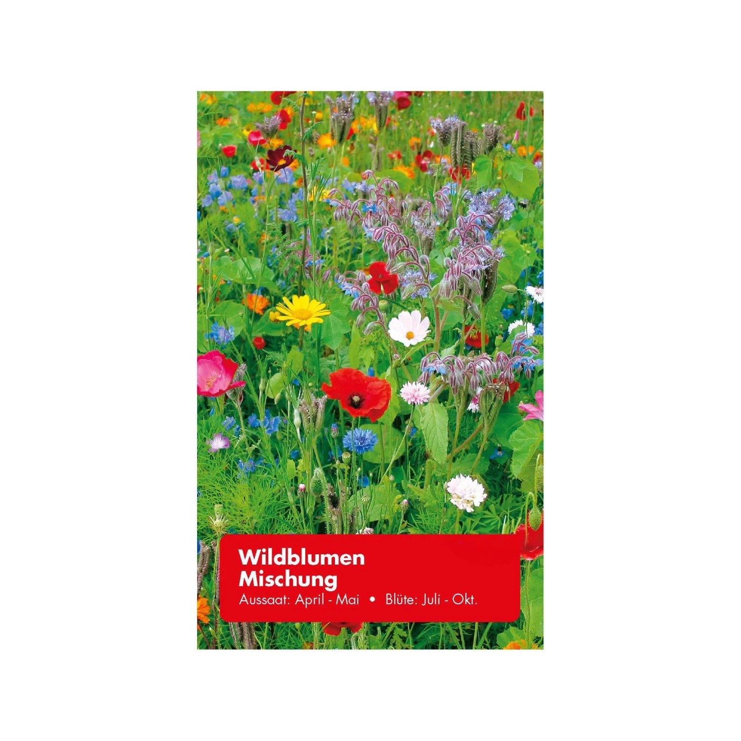 Wildblumen-Mischung