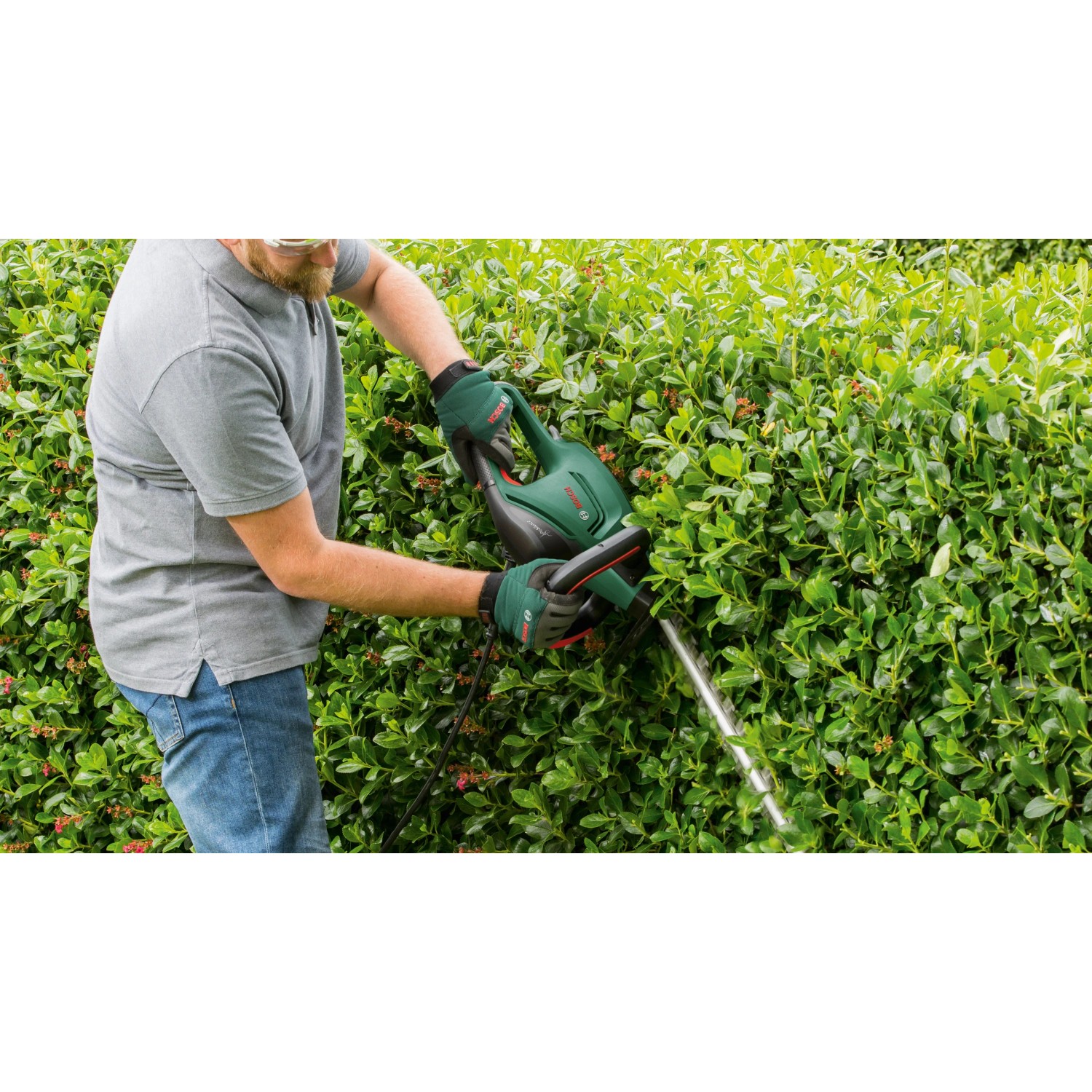 Bosch UniversalHedgeCut 60 Elektro-Heckenschere im Einsatz beim Heckenschnitt.