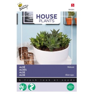 Aloe Mischung Samen für Zimmerpflanzen, ca. 5 Samen für den Innenbereich.