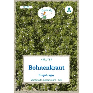 Grüne Fee Bohnenkraut Saatgut, einjährig. Würzkraut für Garten und Küche.