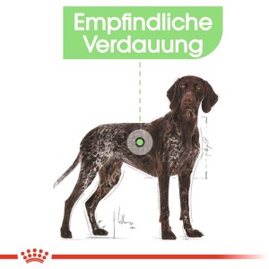 Illustration eines großen Hundes für Royal Canin Digestive Care Maxi Trockenfutter.