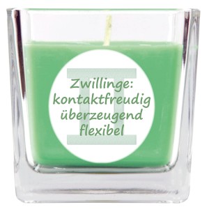HS Candle Duftkerze Zwillinge im Glas, Coconut Limes Duft, grüne Kerze.