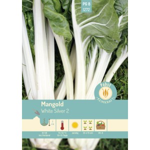 Pabst Keimkraft Mangold White Silver 2 Saatgut mit weißen Rippen und grünen Blättern.