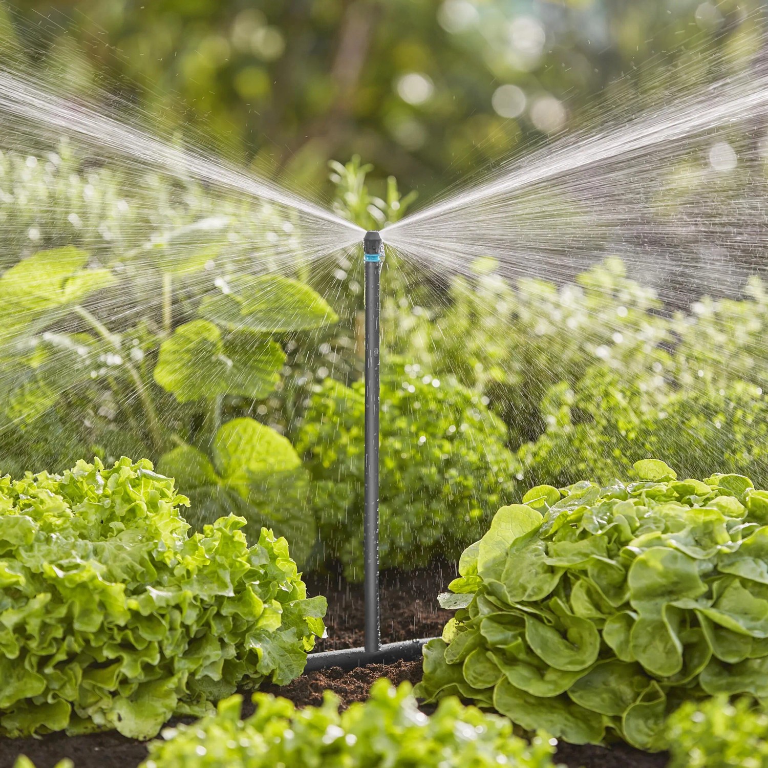 Gardena Verlängerungsrohr 20 cm für Sprühdüsen im Micro-Drip-System bei der Gartenbewässerung.