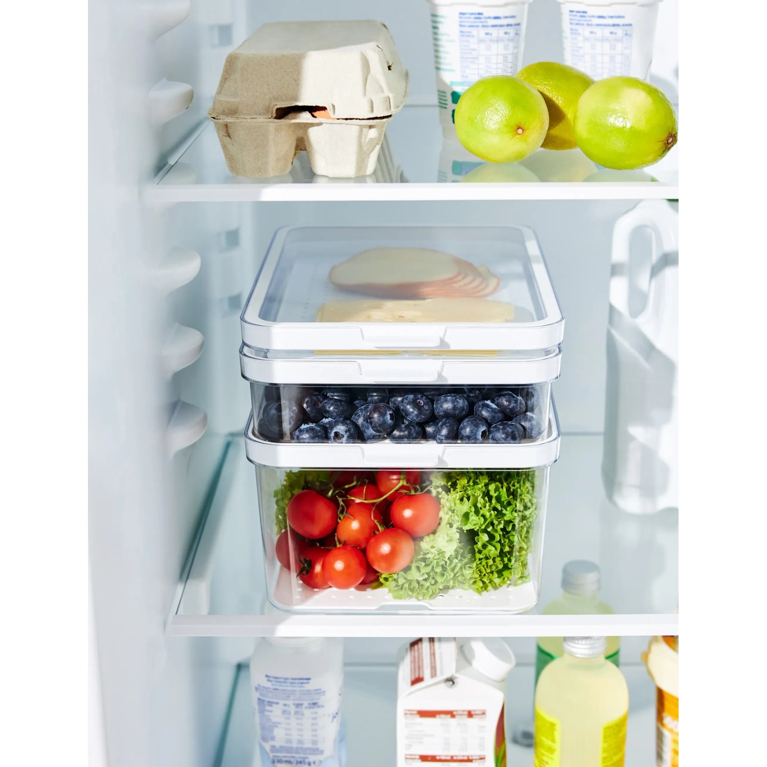 Rotho Kühlschrankorganizer Cauma 2,6 l, weiß, gefüllt mit Lebensmitteln im Kühlschrank.