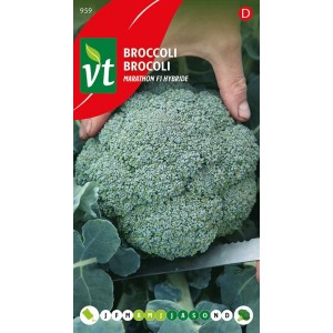 Brokkoli 'Marathon F1' Saatgut ca. 0,3 g Ertragreich