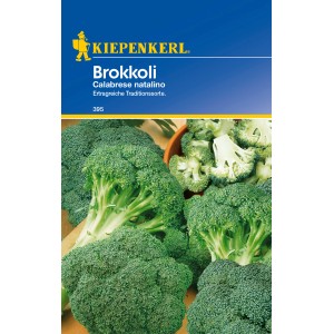 Kiepenkerl Brokkoli 'Calabrese natalino', grüne Gemüsepflanze für den Garten.