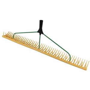 Galaflor Rasenrechen aus Kunststoff mit 48 Zinken und grünem Stiel.