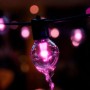 Philips Hue Festavia LED-Lichterkette, Globe, 20 Lampen, pinkes Licht.
