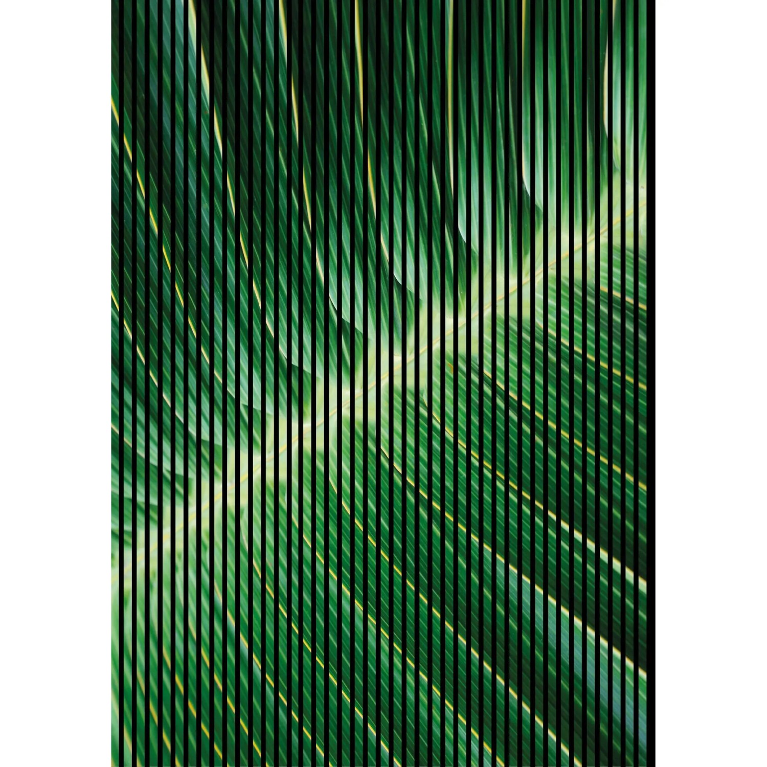 FN Acustico Akustikplatte Blatt 1 PET u. MDF Foliert 1.693 x 19 x 2.400 mm