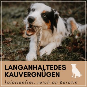 Supravit Schafhorn Größe M Kauspielzeug für Hunde