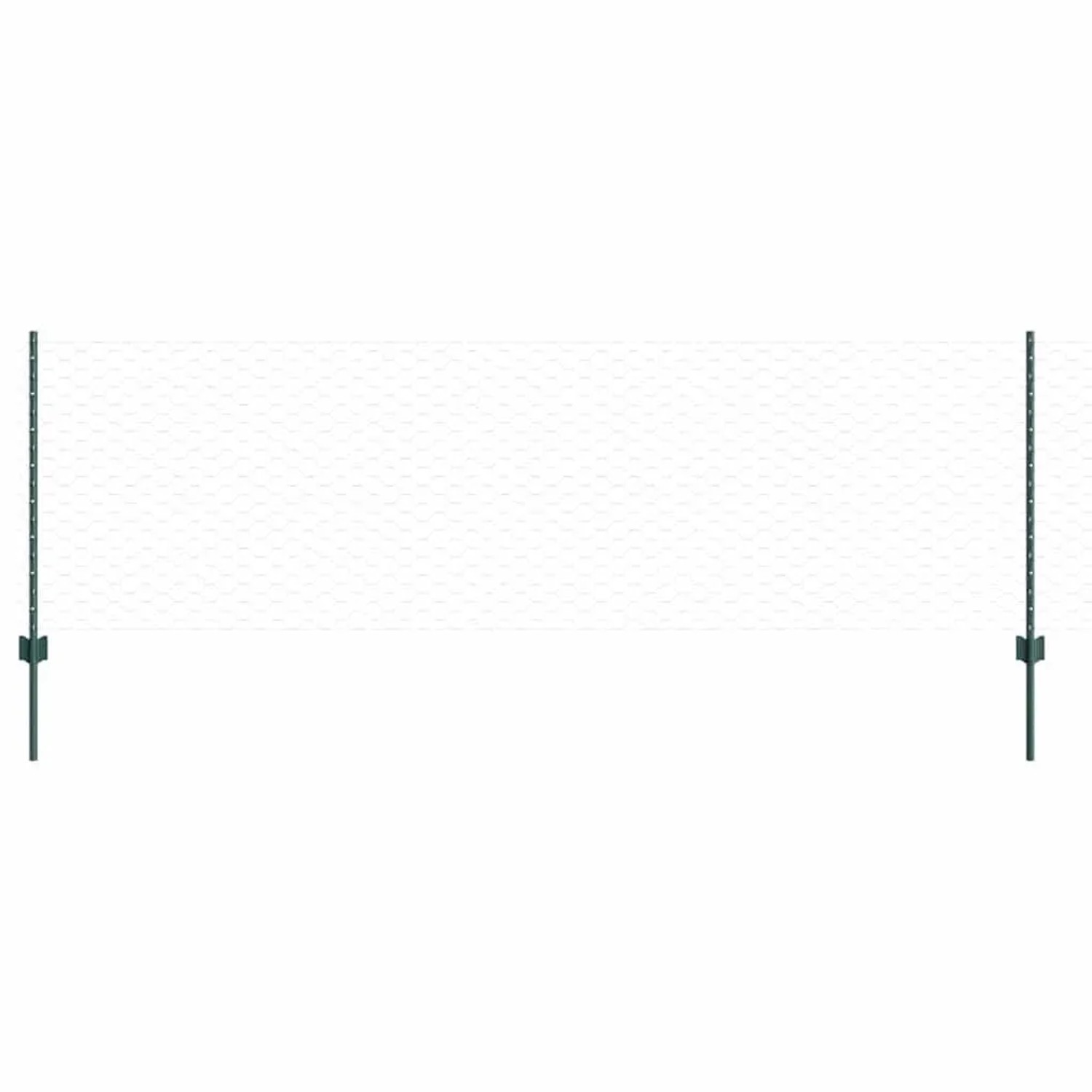 vidaXL Zaun mit Pfosten Grün 3336787