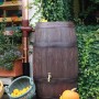 Dunkelbraune Arves Regentonne Burgund 500 l in Holzoptik mit Fallrohr und Auslaufhahn vor grüner Pflanzenwand.