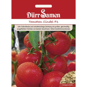 Dürr Samen Tomaten Cindel F1: Saatgut für rote, runde Tomaten.