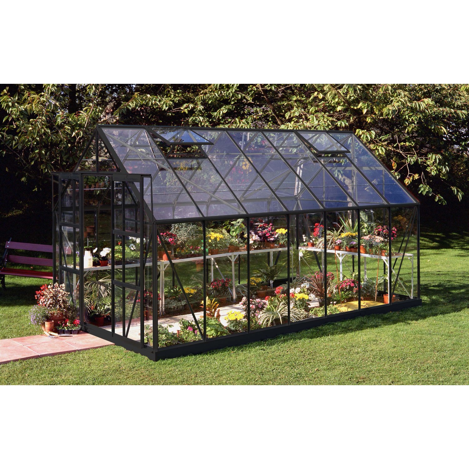 Halls Gewächshaus Magnum 148 mit 3 mm Blankglas Schwarz 11,5 m²